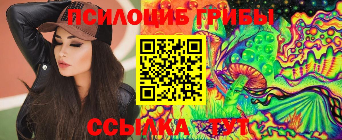 Егорьевск  Псилоцибиновые грибы MAGIC MUSHROOMS  наркота  Вход с VPN 