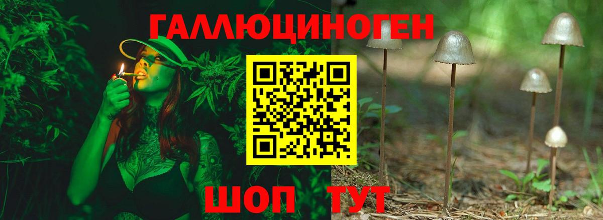 Псилоцибиновые грибы прущие грибы Егорьевск